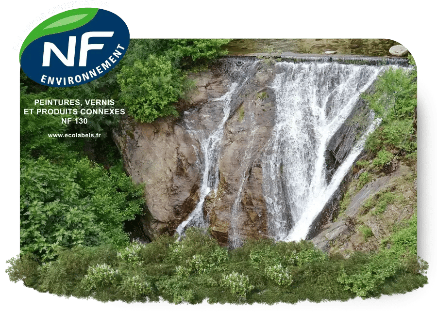 Certification _NF